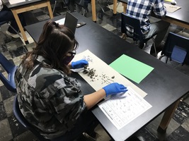 Dissection Day in Anatomy