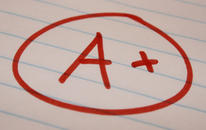 Mid-term Progress Reports