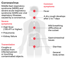 ISBE Issues K-12 Guidance on the New Corona Virus